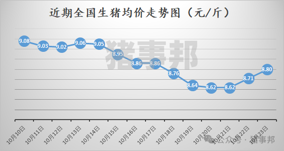 10月23日猪价汇总（继续普涨，但情绪有变！）